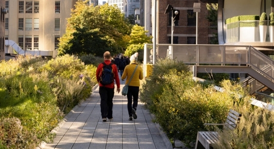 two people walking a path